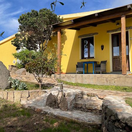 Agriturismo Campesi Casale Tra Le Vigne Aglientu Exteriér fotografie