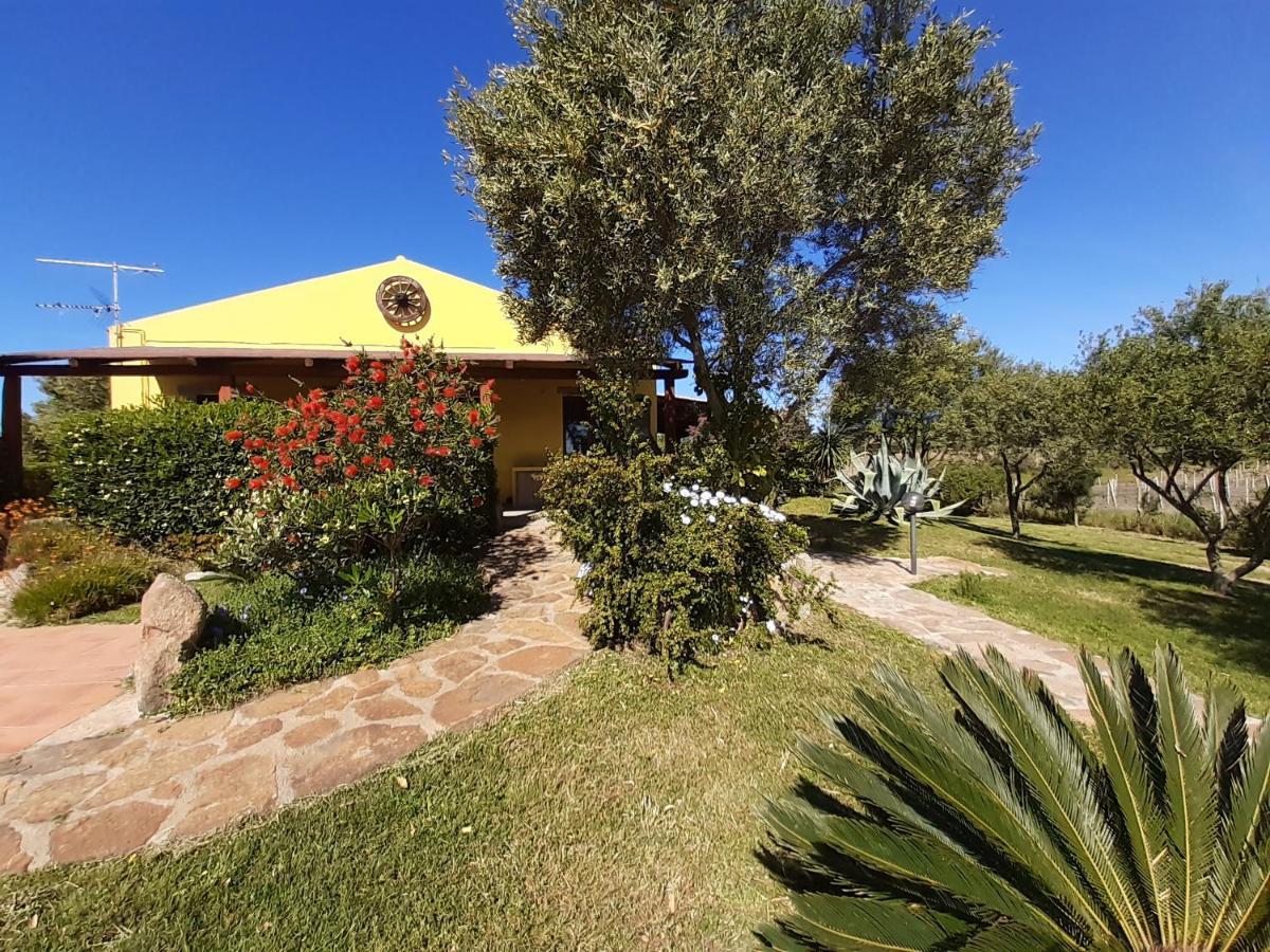 Agriturismo Campesi Casale Tra Le Vigne Aglientu Exteriér fotografie