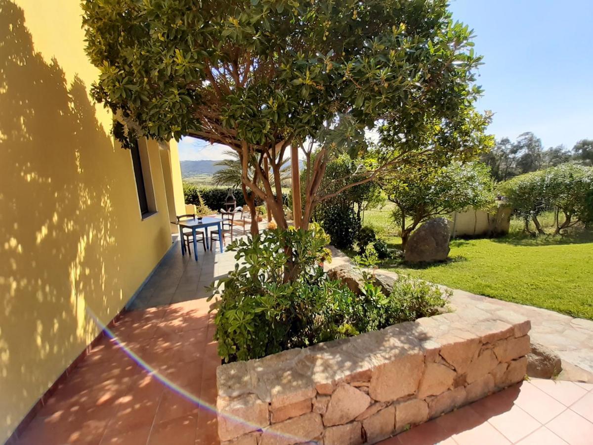 Agriturismo Campesi Casale Tra Le Vigne Aglientu Exteriér fotografie