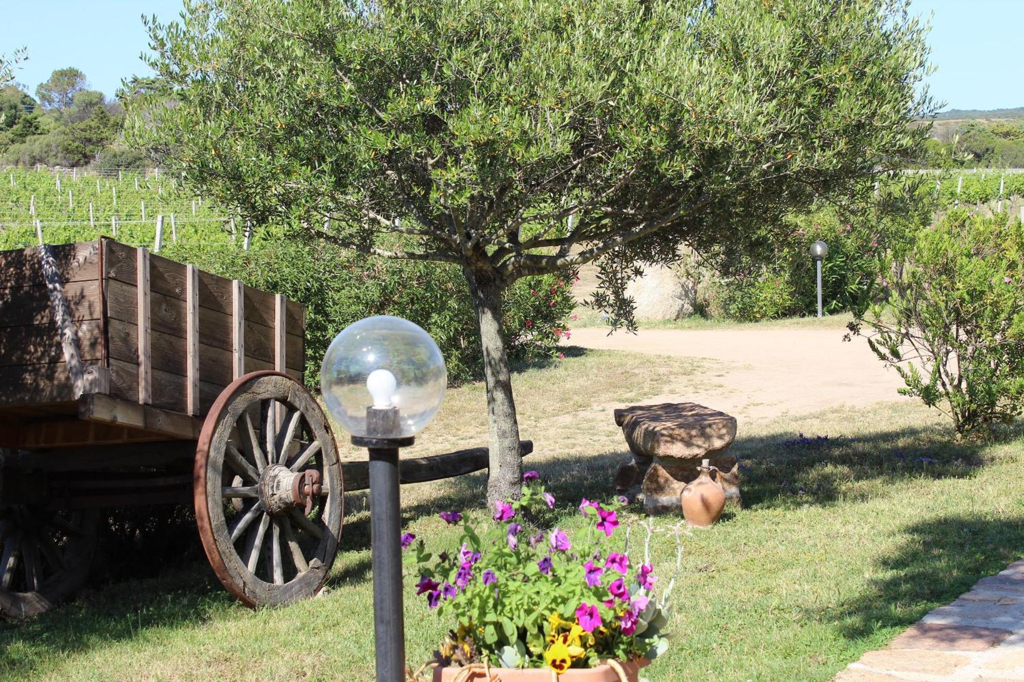 Agriturismo Campesi Casale Tra Le Vigne Aglientu Exteriér fotografie