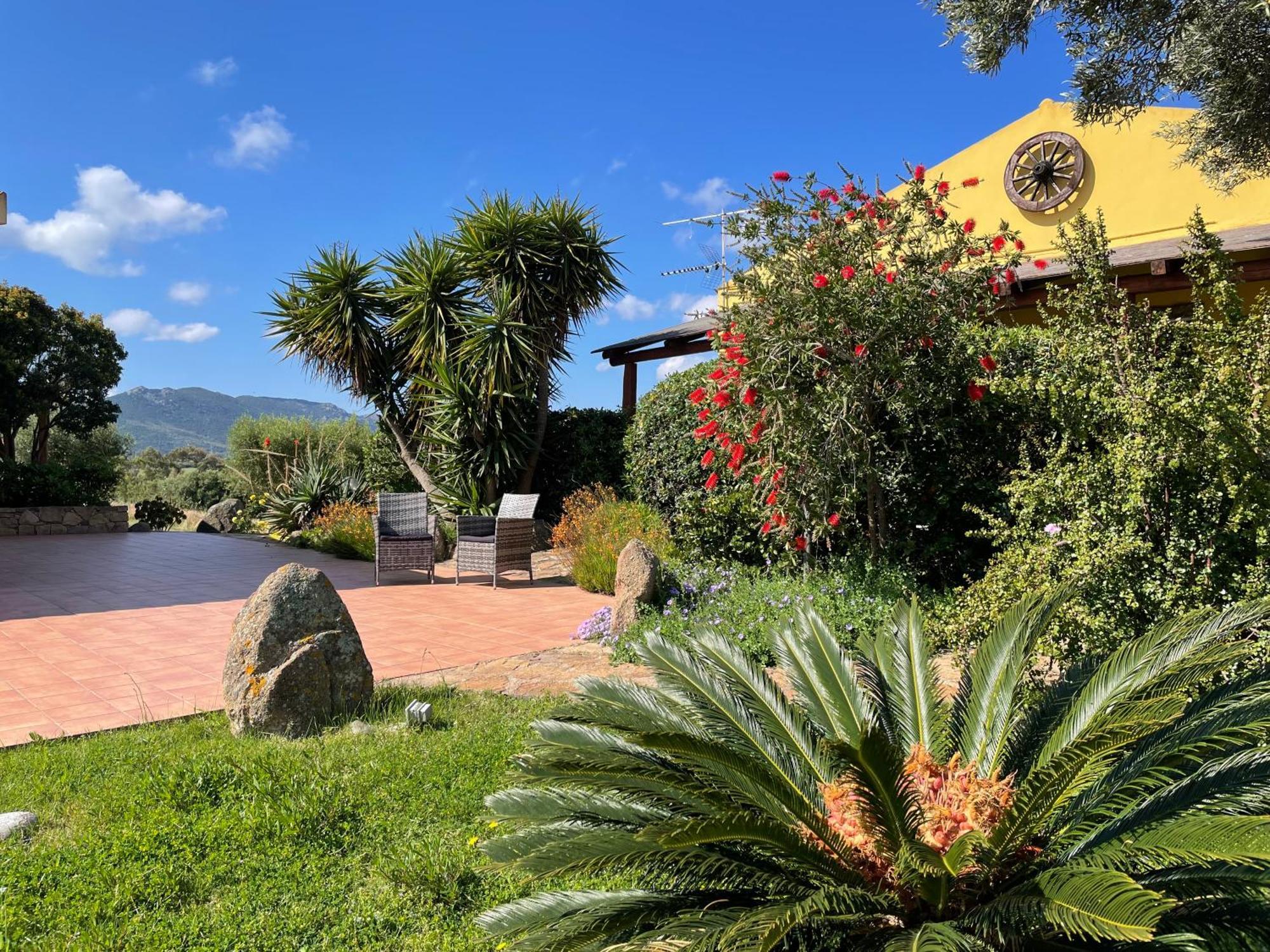 Agriturismo Campesi Casale Tra Le Vigne Aglientu Exteriér fotografie