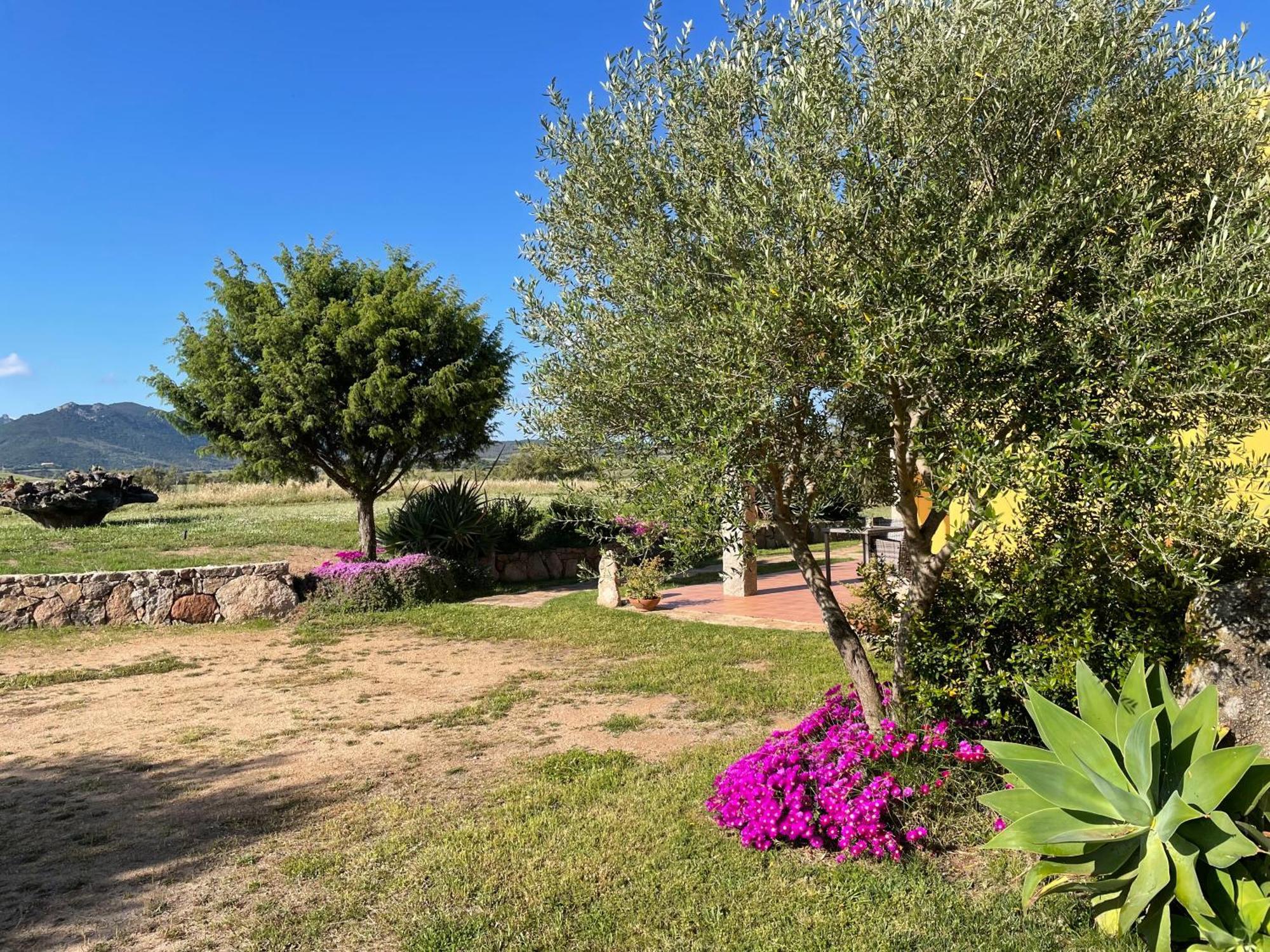 Agriturismo Campesi Casale Tra Le Vigne Aglientu Exteriér fotografie