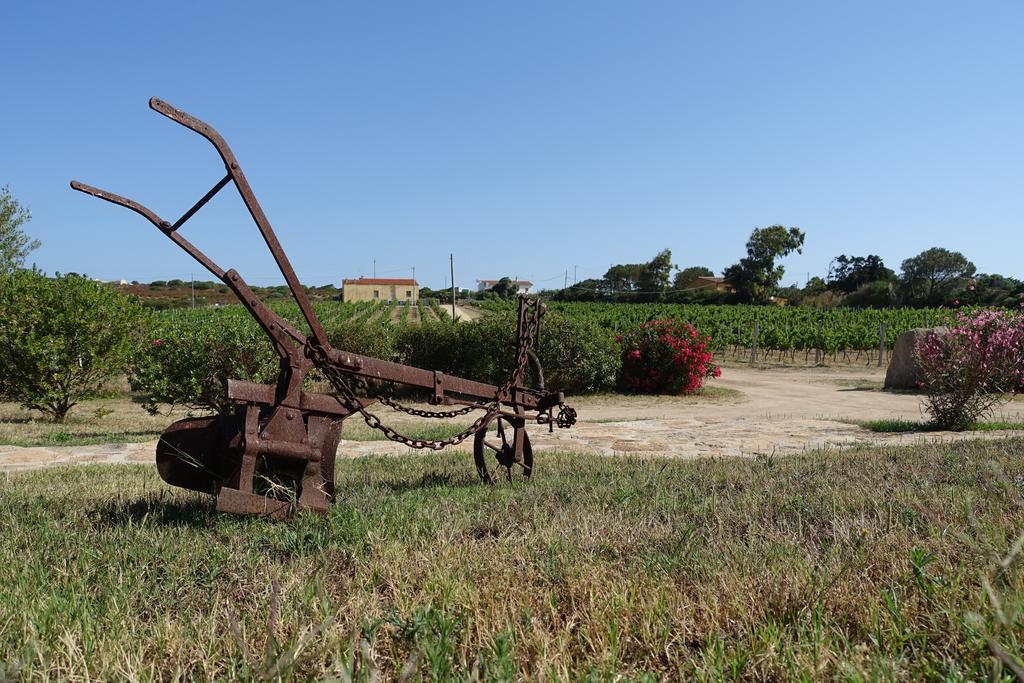 Agriturismo Campesi Casale Tra Le Vigne Aglientu Exteriér fotografie