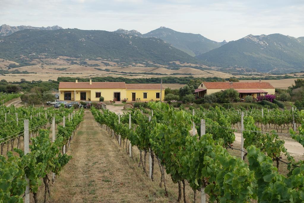 Agriturismo Campesi Casale Tra Le Vigne Aglientu Exteriér fotografie