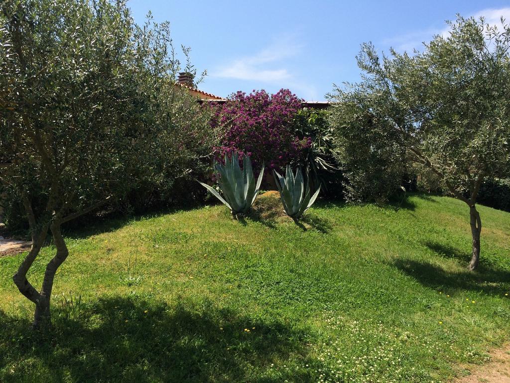 Agriturismo Campesi Casale Tra Le Vigne Aglientu Exteriér fotografie