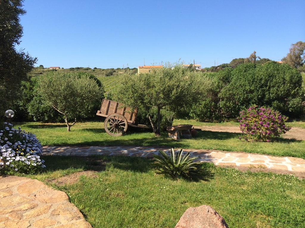 Agriturismo Campesi Casale Tra Le Vigne Aglientu Exteriér fotografie