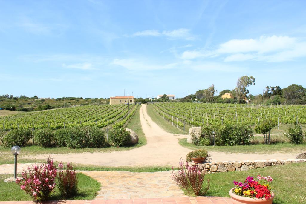 Agriturismo Campesi Casale Tra Le Vigne Aglientu Exteriér fotografie