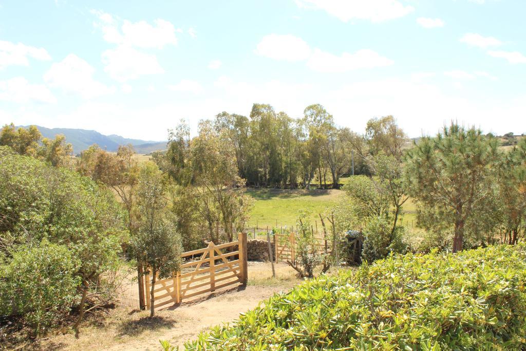 Agriturismo Campesi Casale Tra Le Vigne Aglientu Exteriér fotografie