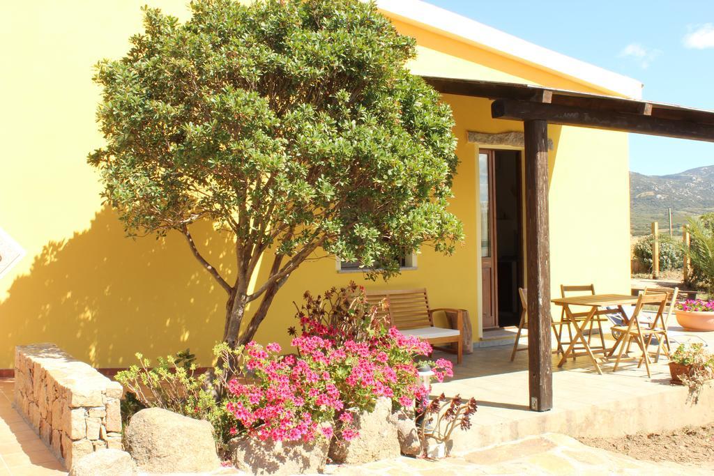 Agriturismo Campesi Casale Tra Le Vigne Aglientu Exteriér fotografie