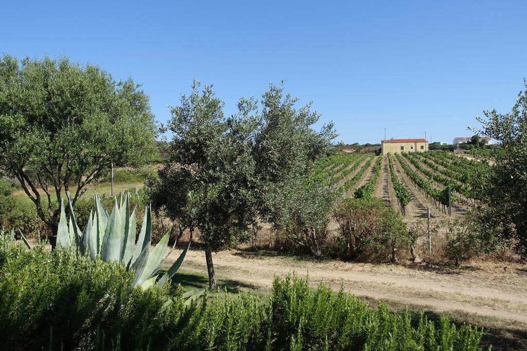 Agriturismo Campesi Casale Tra Le Vigne Aglientu Exteriér fotografie
