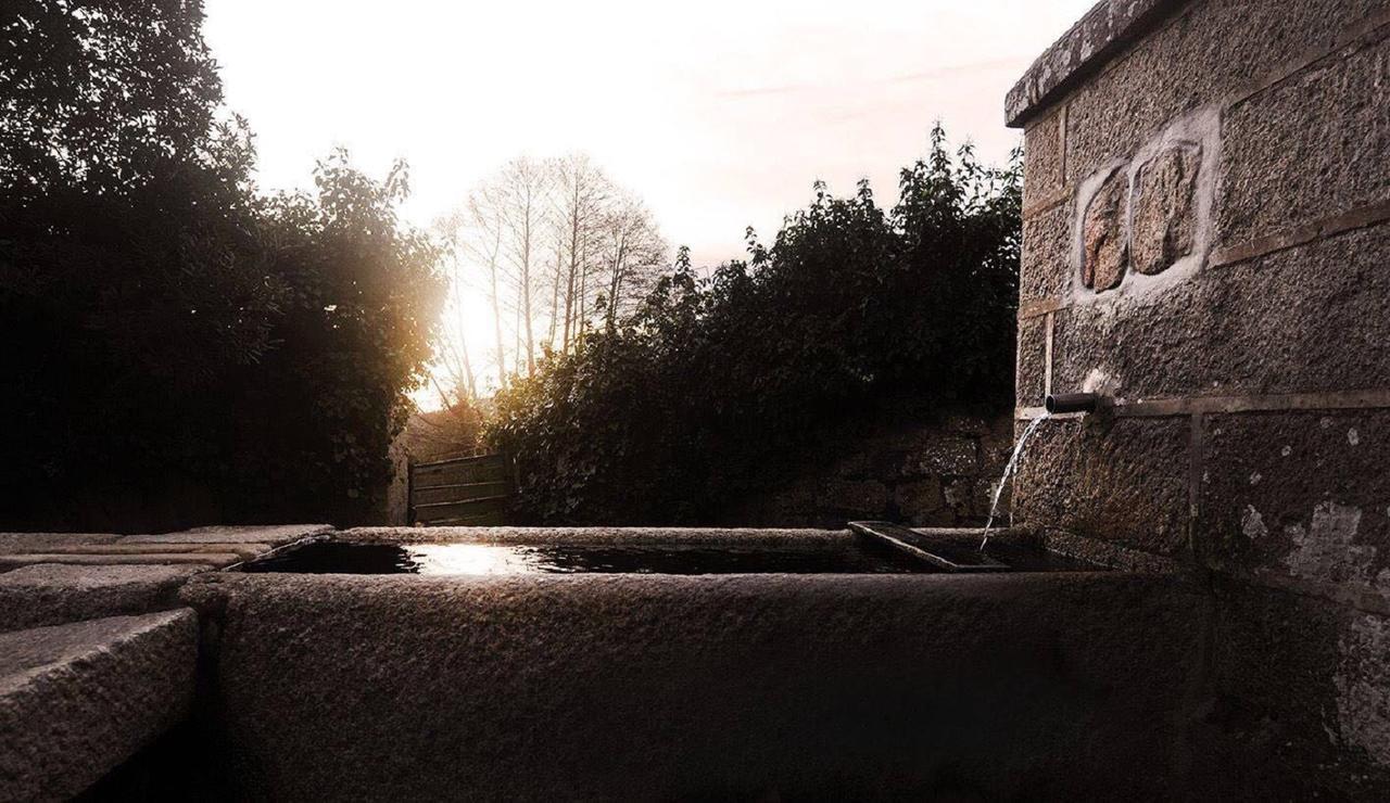 Agriturismo Campesi Casale Tra Le Vigne Aglientu Exteriér fotografie