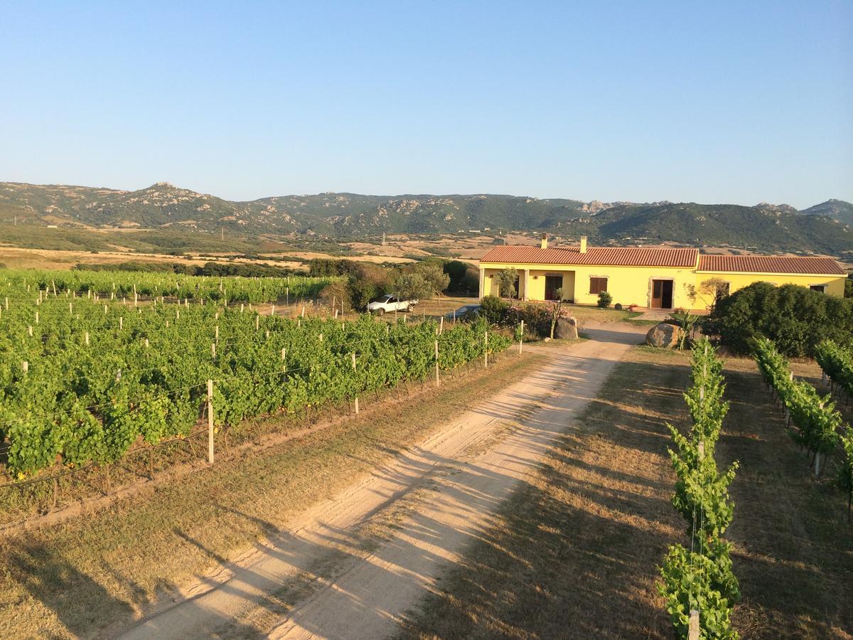 Agriturismo Campesi Casale Tra Le Vigne Aglientu Exteriér fotografie