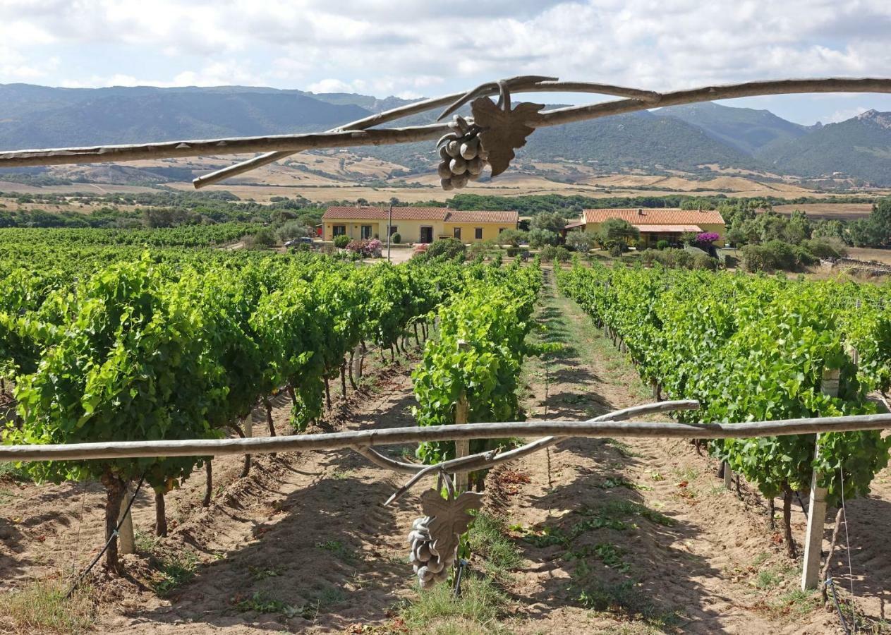 Agriturismo Campesi Casale Tra Le Vigne Aglientu Exteriér fotografie