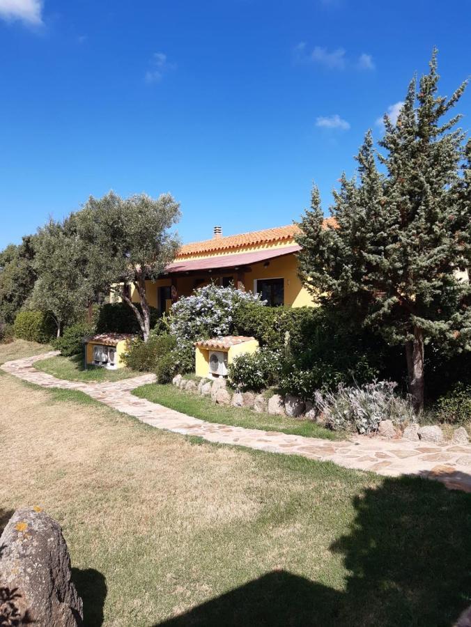 Agriturismo Campesi Casale Tra Le Vigne Aglientu Exteriér fotografie