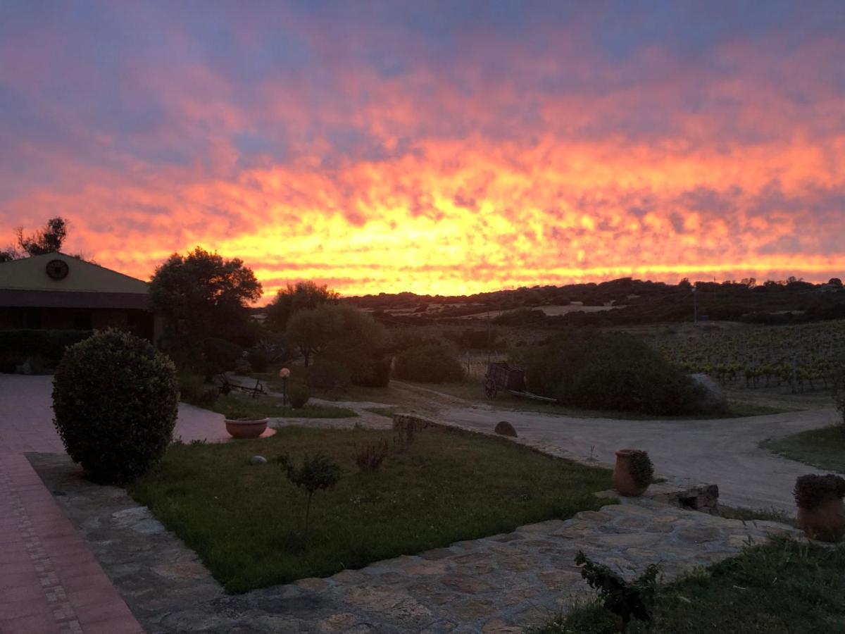 Agriturismo Campesi Casale Tra Le Vigne Aglientu Exteriér fotografie