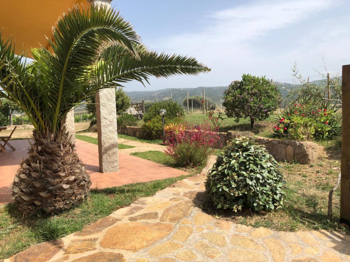 Agriturismo Campesi Casale Tra Le Vigne Aglientu Exteriér fotografie
