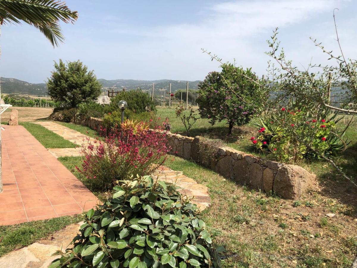 Agriturismo Campesi Casale Tra Le Vigne Aglientu Exteriér fotografie